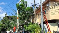 IMG-20260701-WA0023