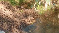IMG-20260714-WA0022